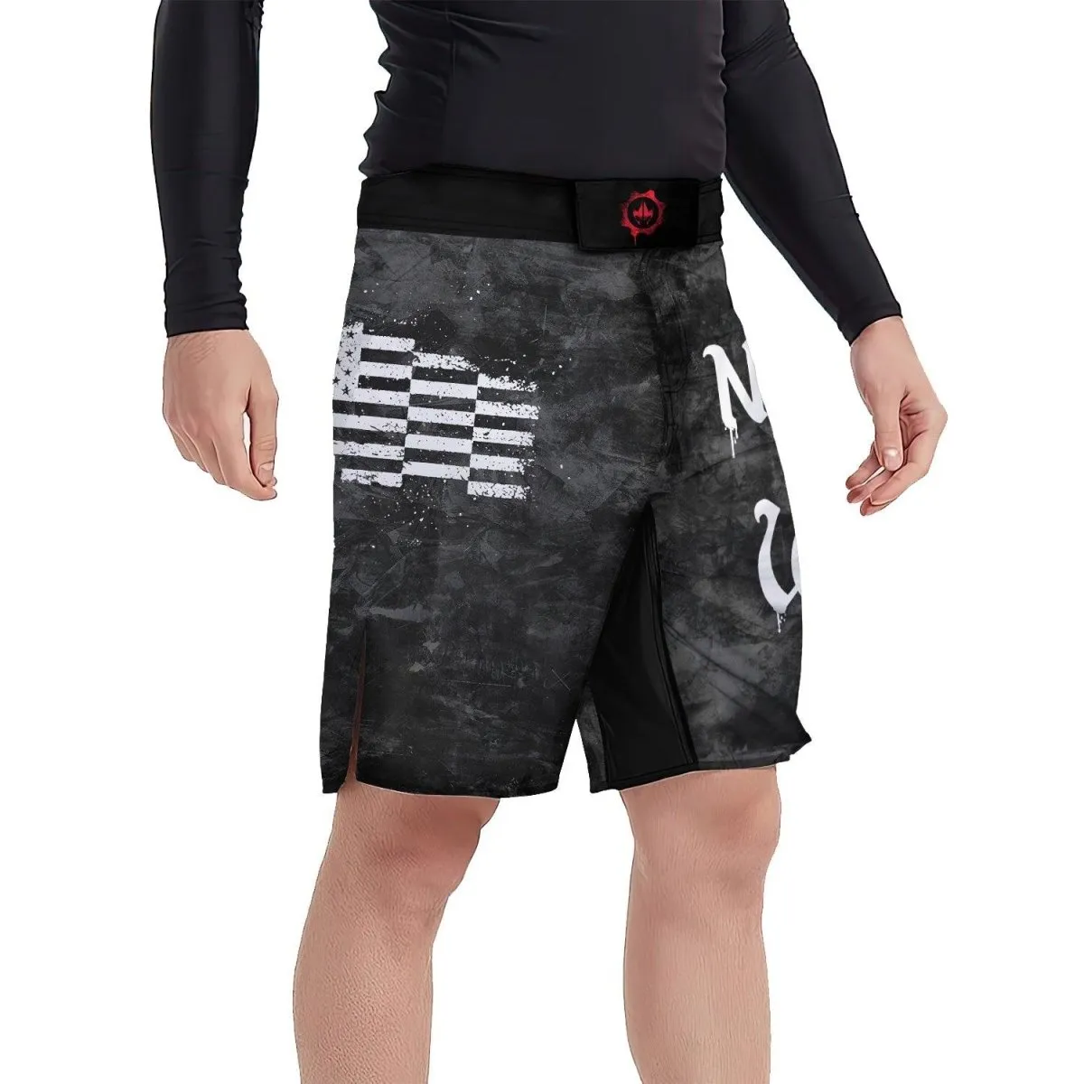 Painting American Flag Fight Shorts