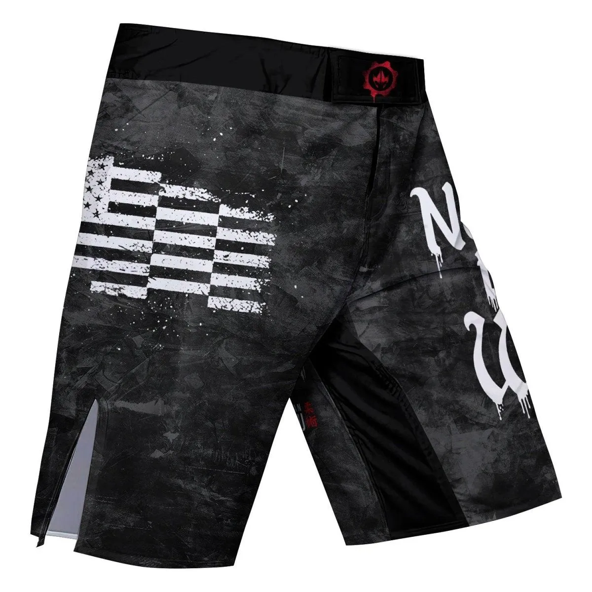 Painting American Flag Fight Shorts