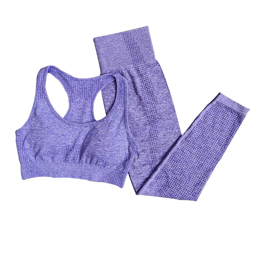 Seamless Gym Fitness Clothing Leggings Set